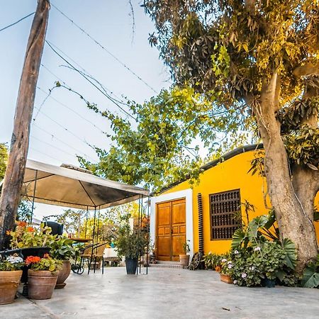 Luchy'S Country House Hostel Ica Ngoại thất bức ảnh