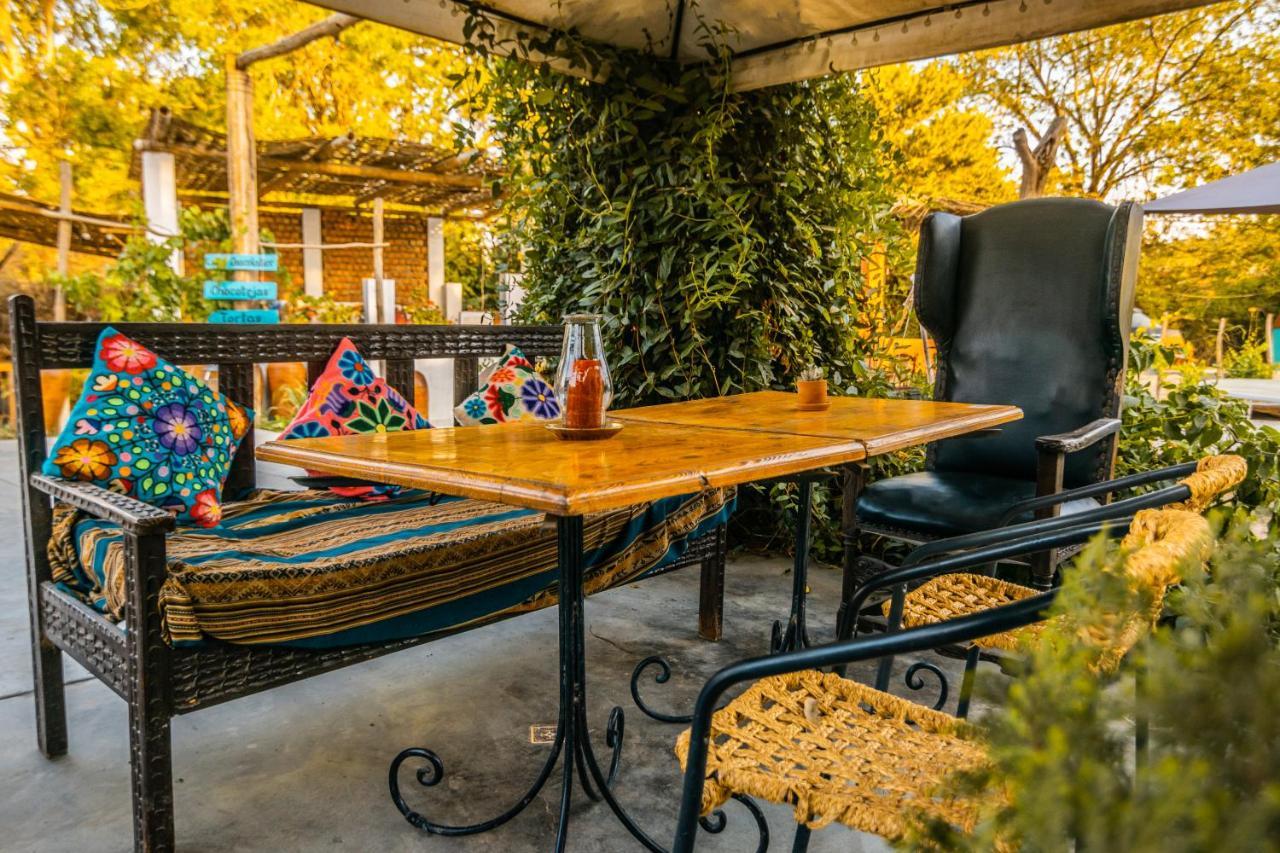 Luchy'S Country House Hostel Ica Ngoại thất bức ảnh