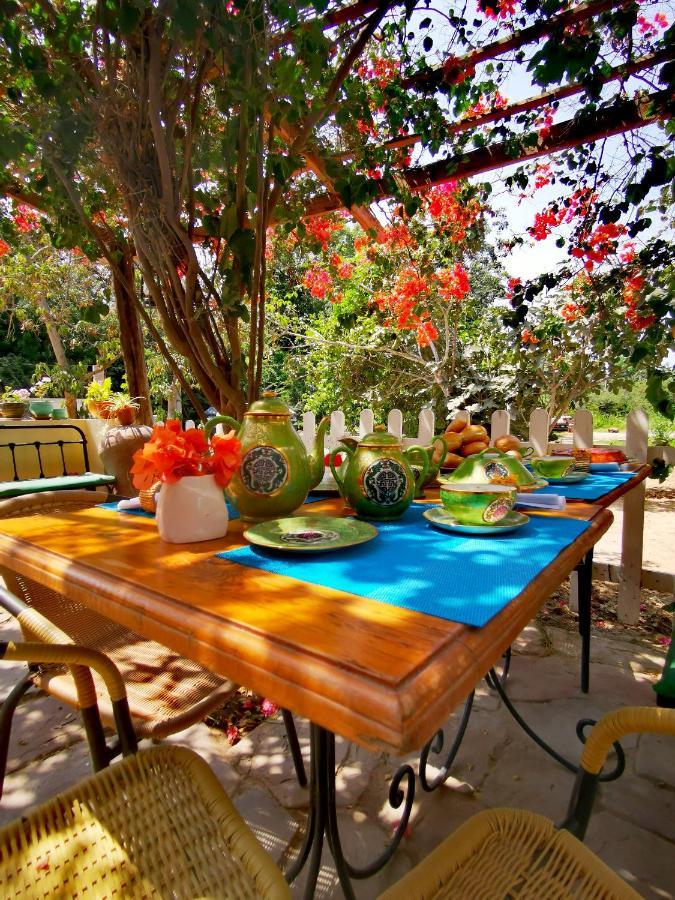 Luchy'S Country House Hostel Ica Ngoại thất bức ảnh
