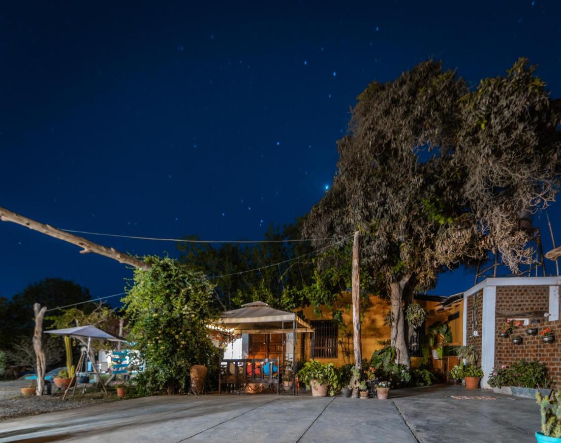 Luchy'S Country House Hostel Ica Ngoại thất bức ảnh