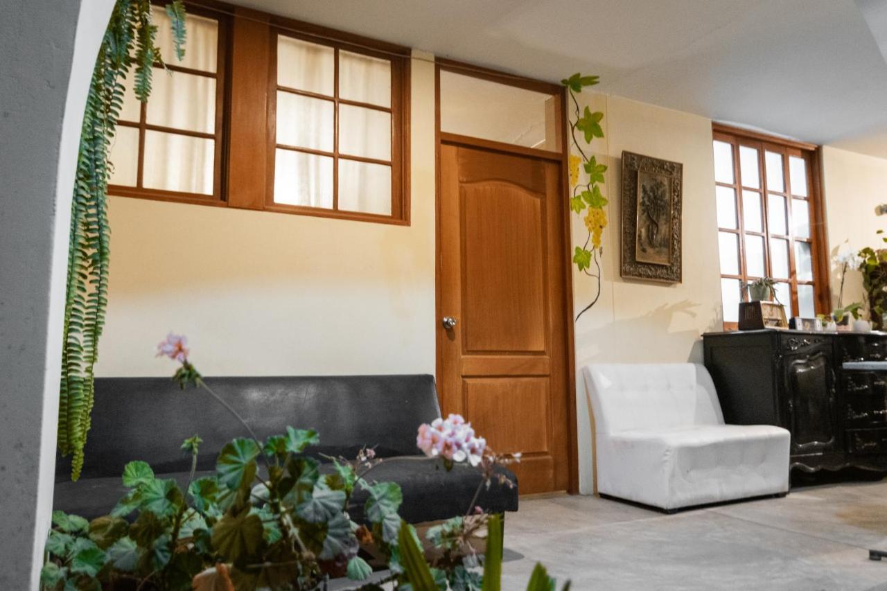 Luchy'S Country House Hostel Ica Ngoại thất bức ảnh