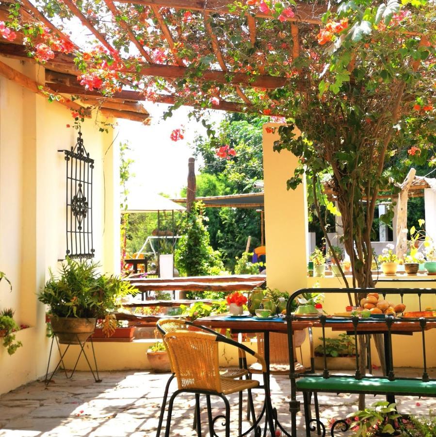 Luchy'S Country House Hostel Ica Ngoại thất bức ảnh