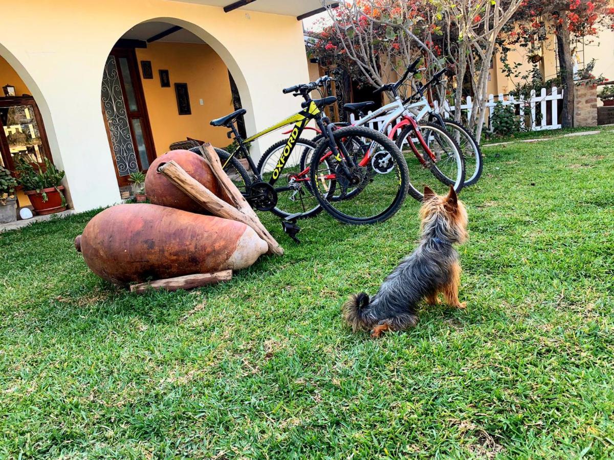 Luchy'S Country House Hostel Ica Ngoại thất bức ảnh