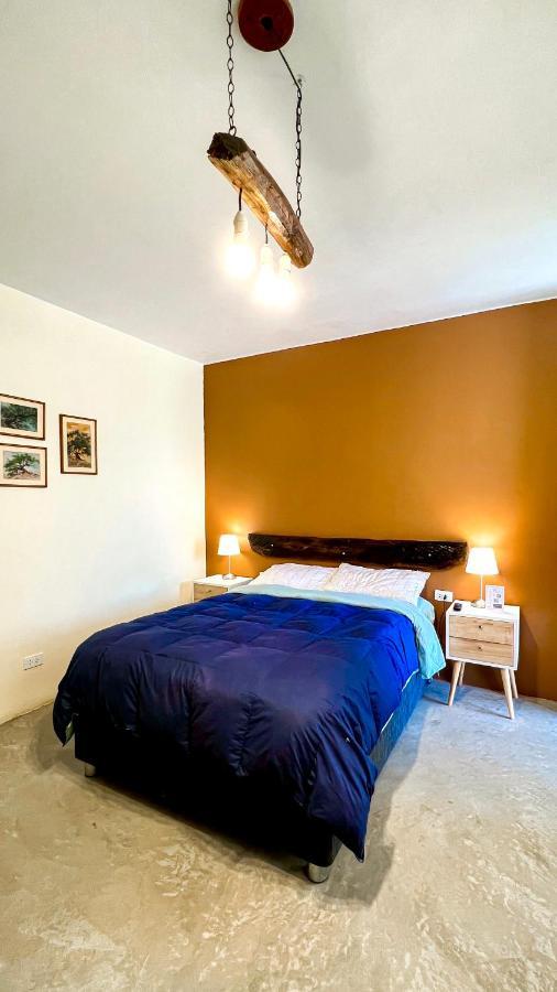 Luchy'S Country House Hostel Ica Ngoại thất bức ảnh