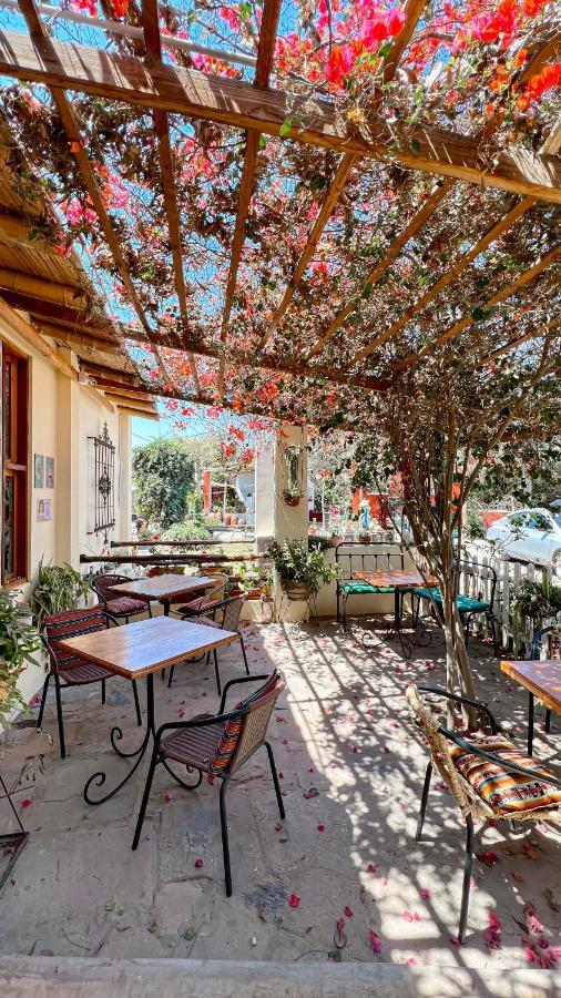 Luchy'S Country House Hostel Ica Ngoại thất bức ảnh