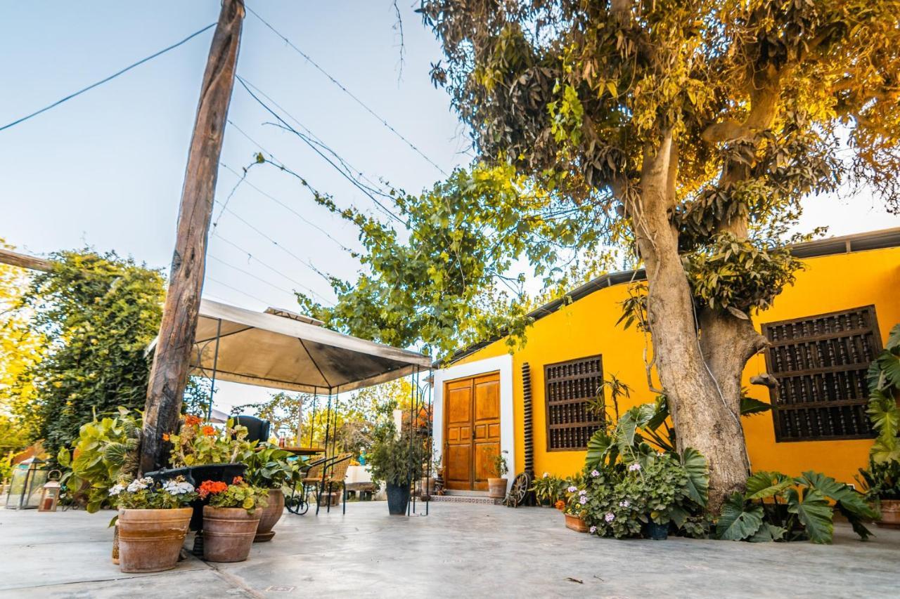 Luchy'S Country House Hostel Ica Ngoại thất bức ảnh