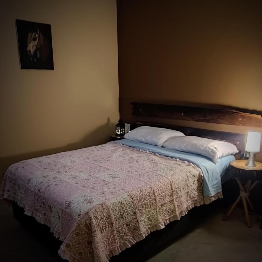 Luchy'S Country House Hostel Ica Ngoại thất bức ảnh